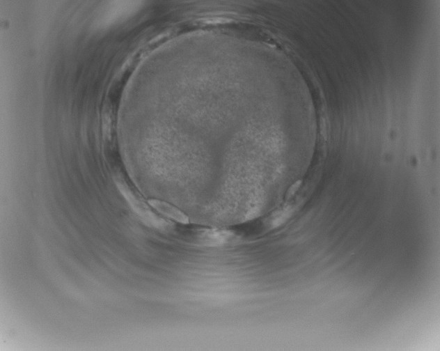 X0000051890379200507081945