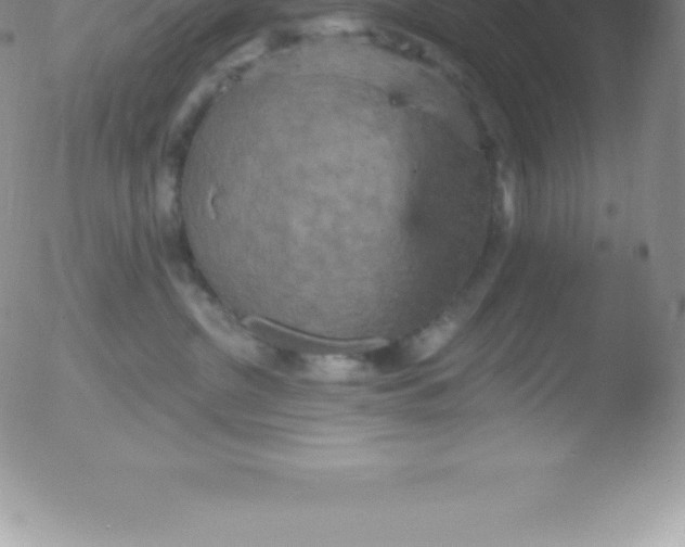 X0000051890380200507081945