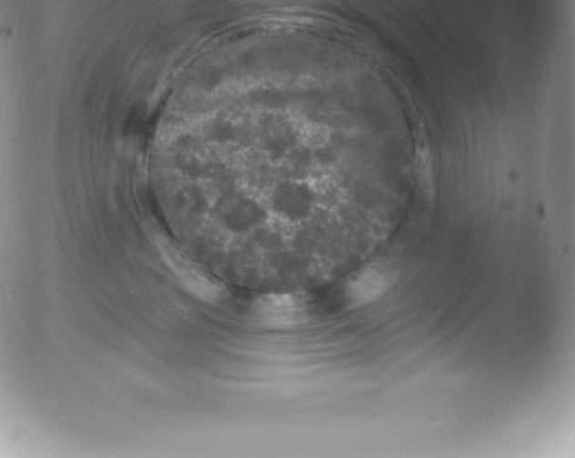 X0000051890381200507081945