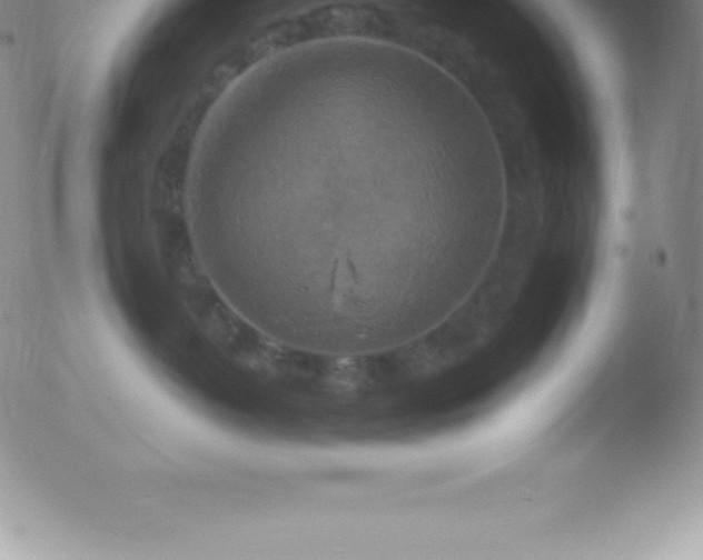 X0000051890382200507081945