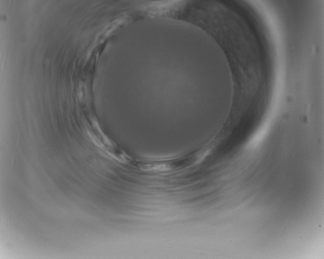 X0000051890383200507081945