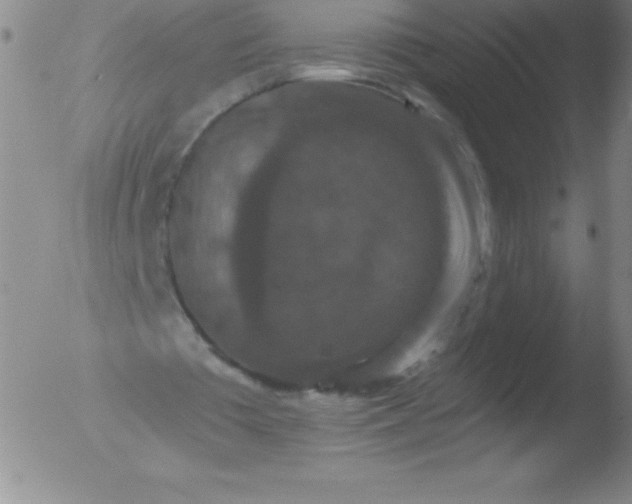 X0000051890385200507081944