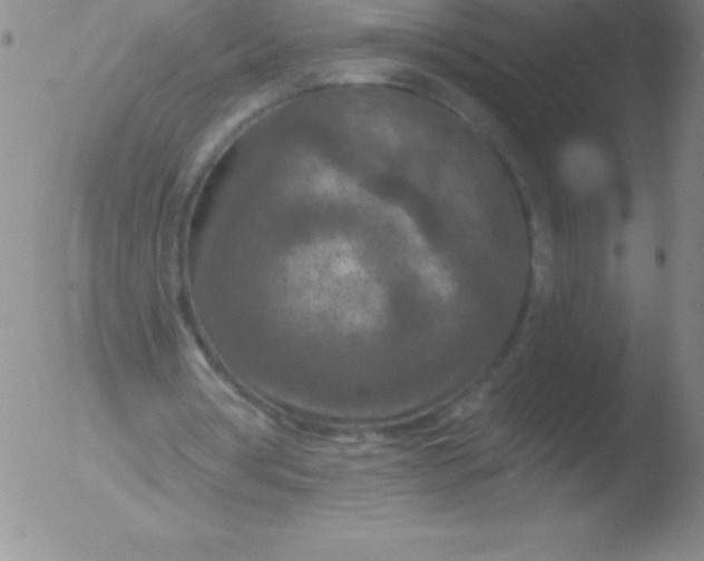 X0000051890386200507081944