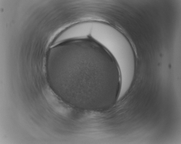 X0000051890387200507081944