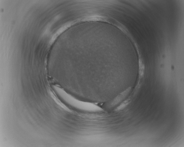 X0000051890389200507081944