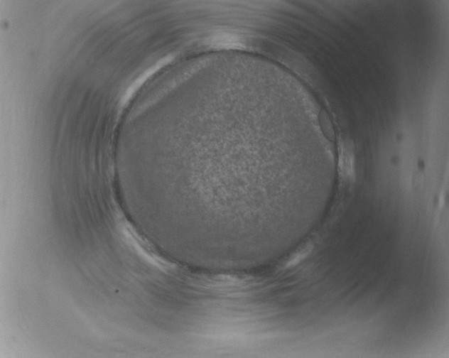 X0000051890390200507081944