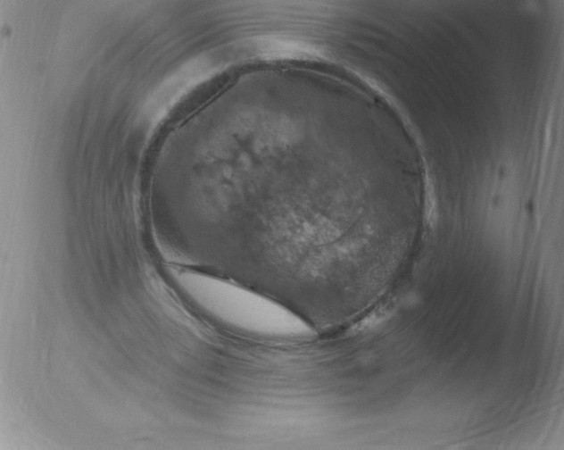 X0000051890391200507081944