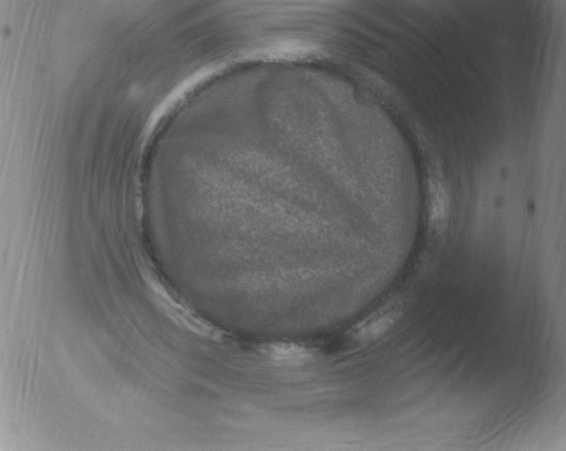 X0000051890392200507081944