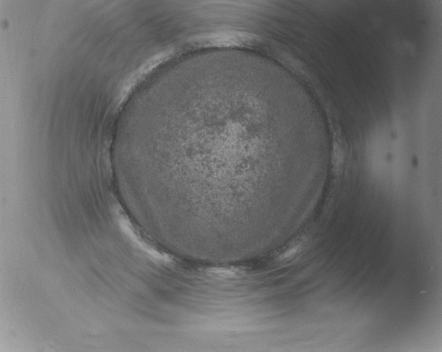 X0000051890394200507081944