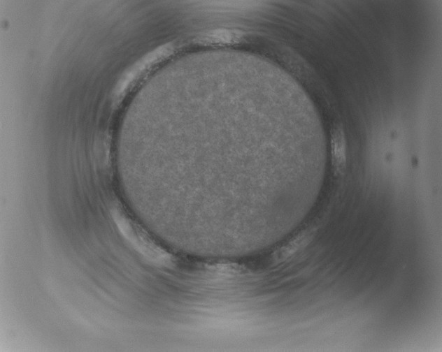 X0000051890396200507081944