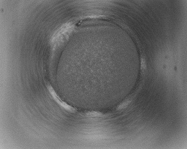 X0000051890397200507081944