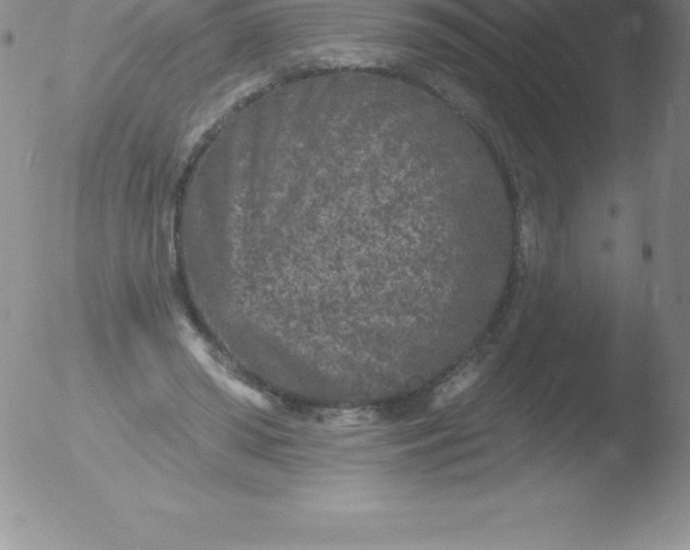 X0000051890398200507081944