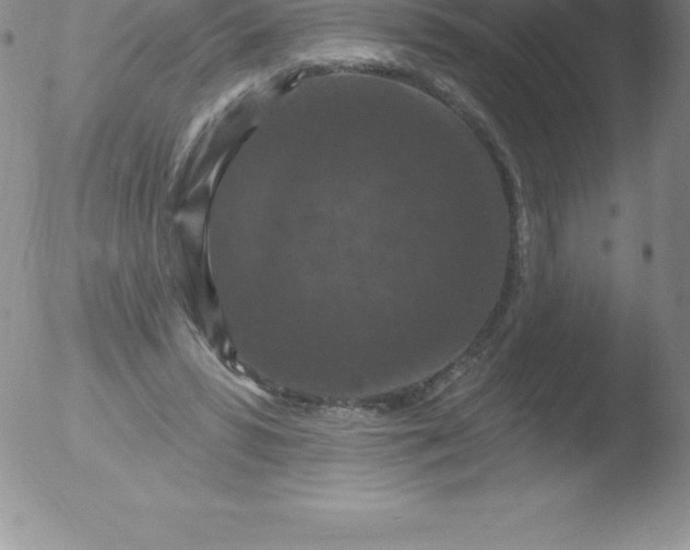 X0000051890399200507081944