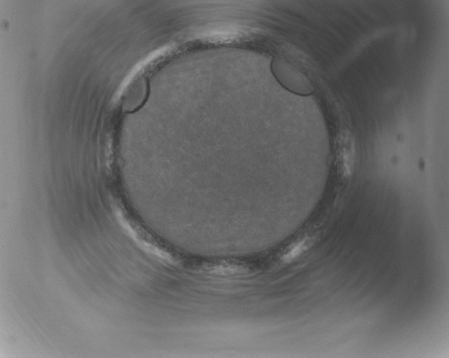 X0000051890400200507081944