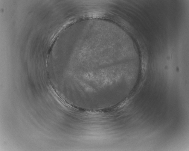 X0000051890401200507081944