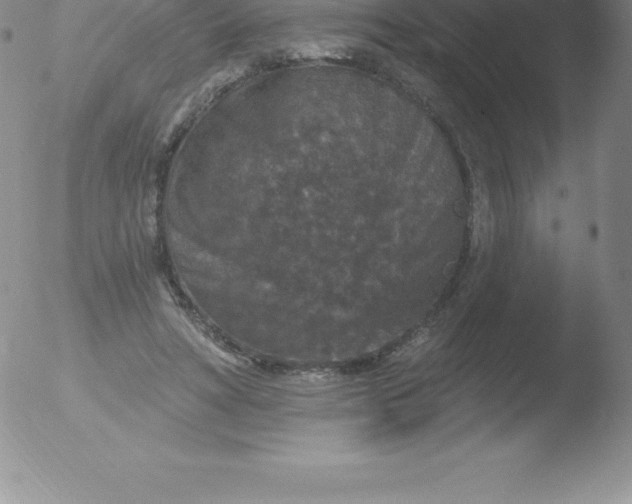 X0000051890402200507081944