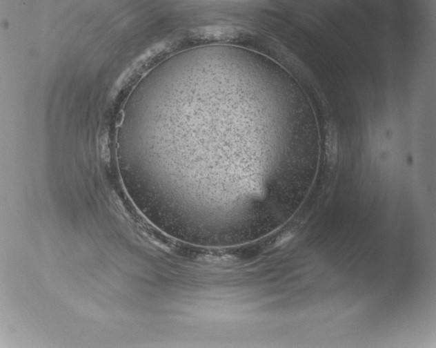 X0000051890403200507081944