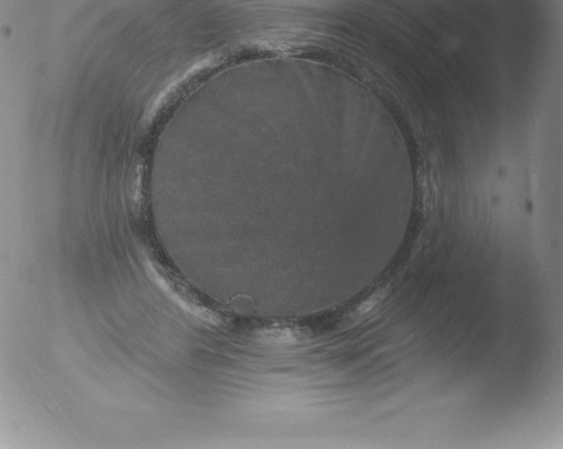 X0000051890404200507081944