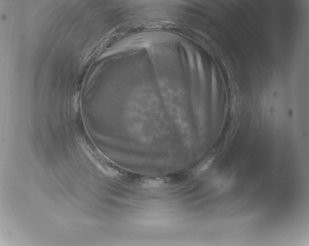 X0000051890405200507081944