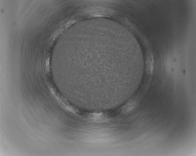 X0000051890406200507081944