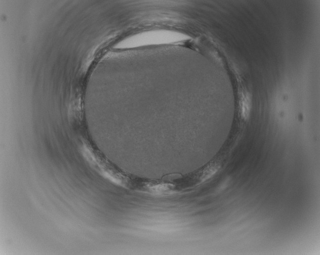 X0000051890407200507081944