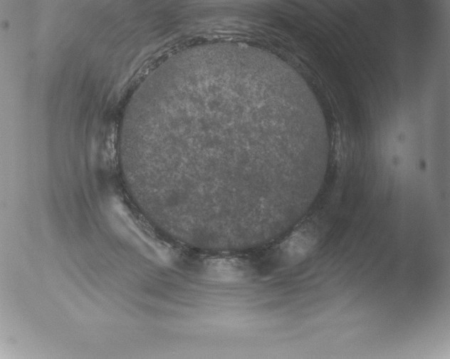 X0000051890408200507081944