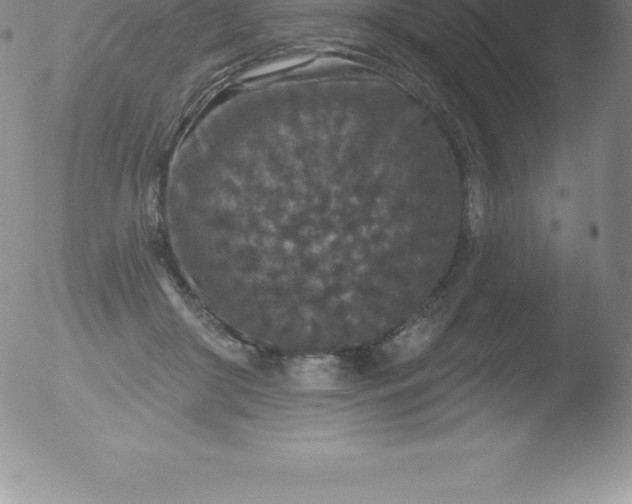 X0000051890410200507081944