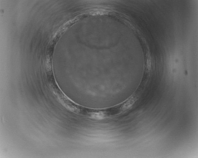 X0000051890411200507081944