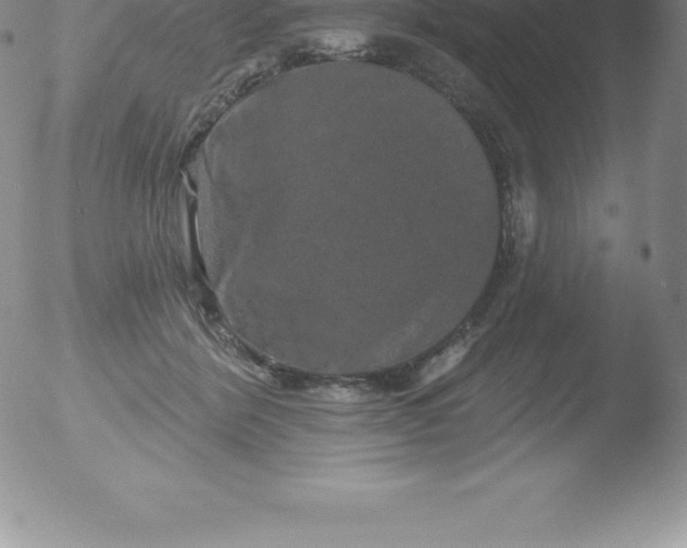 X0000051890412200507081944