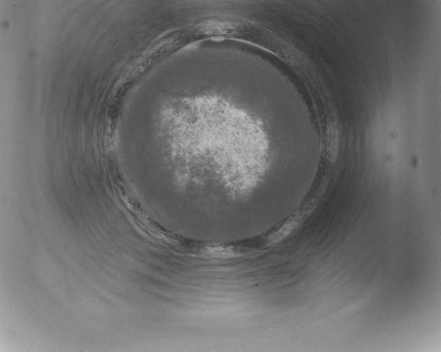 X0000051890413200507081944