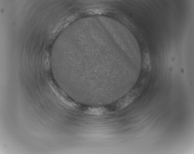 X0000051890414200507081944