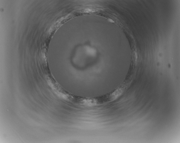 X0000051890415200507081944