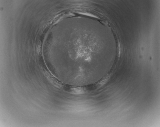 X0000051890417200507081944