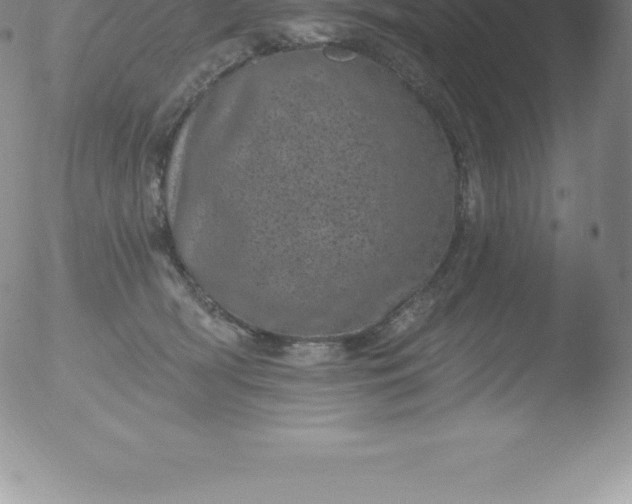 X0000051890418200507081944