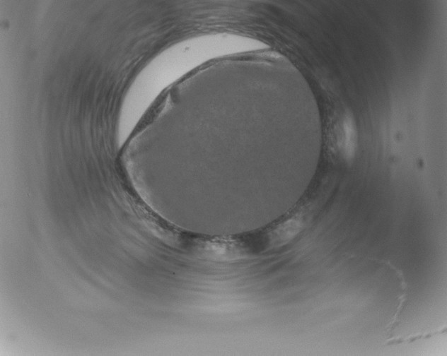 X0000051890420200507081943