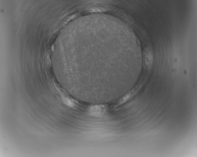 X0000051890422200507081943