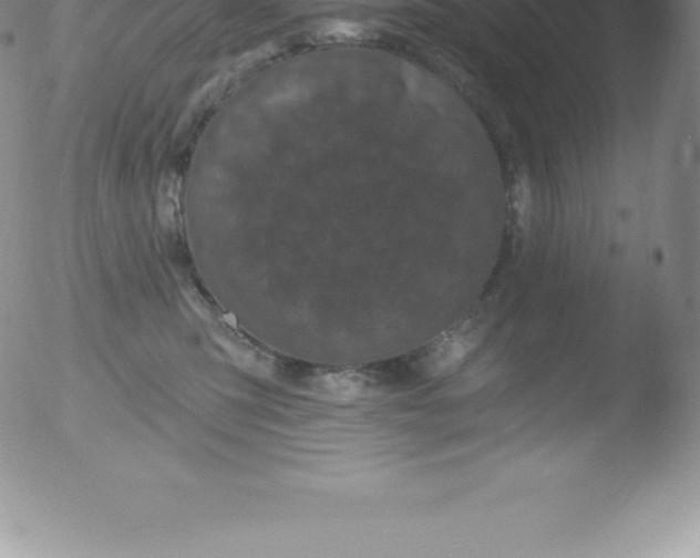 X0000051890423200507081943