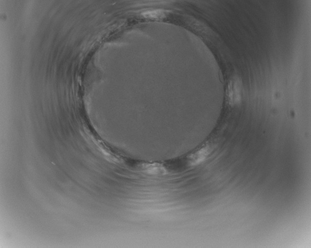 X0000051890424200507081943