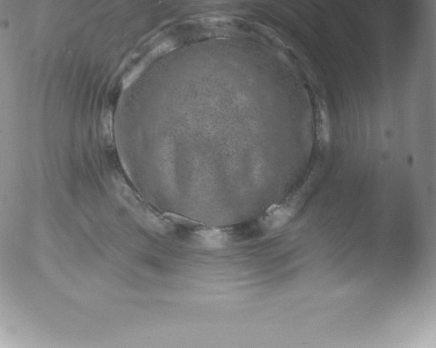 X0000051890425200507081943