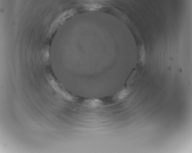 X0000051890427200507081943