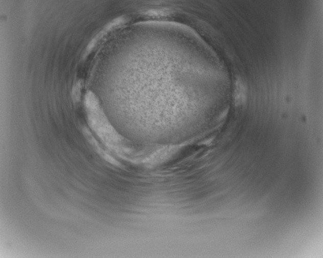 X0000051890428200507081943