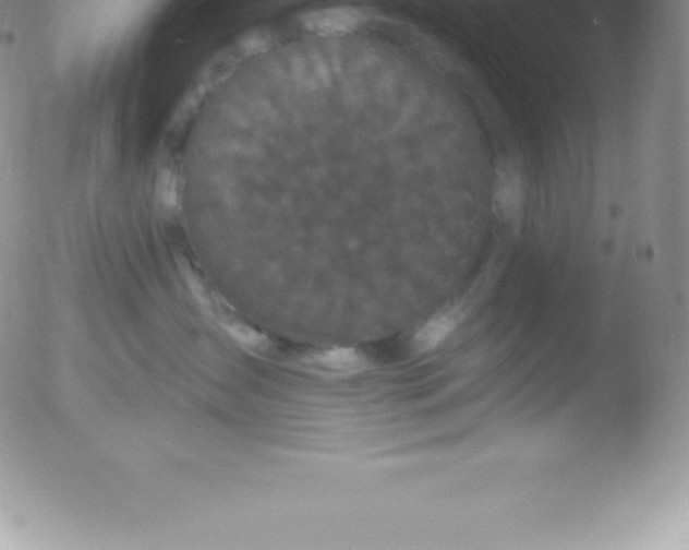 X0000051890431200507081943