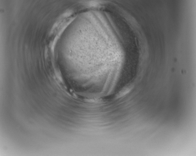 X0000051890432200507081943