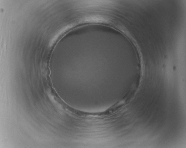 X0000051890434200507081942