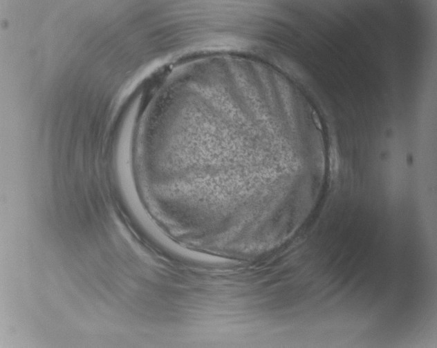 X0000051890436200507081943