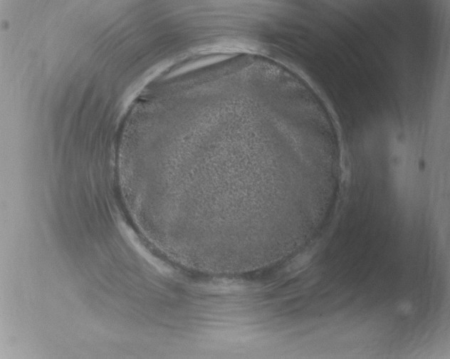 X0000051890437200507081943