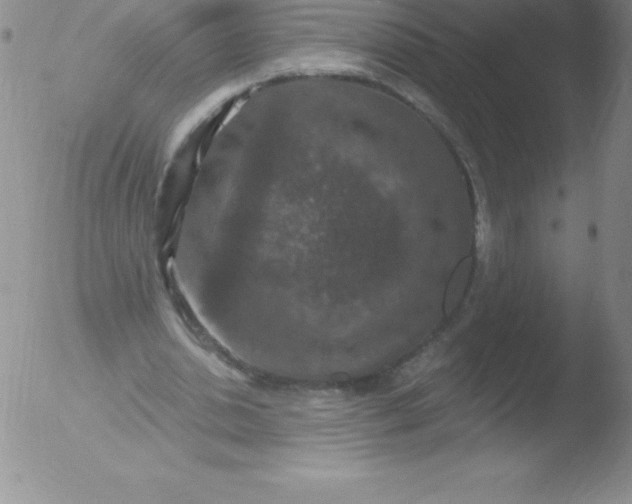 X0000051890438200507081943