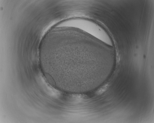 X0000051890439200507081943