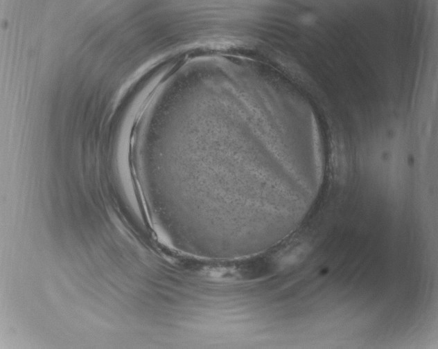 X0000051890440200507081943