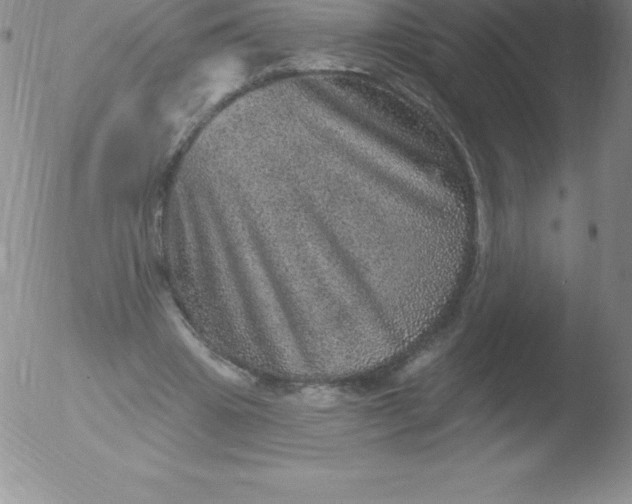 X0000051890441200507081943